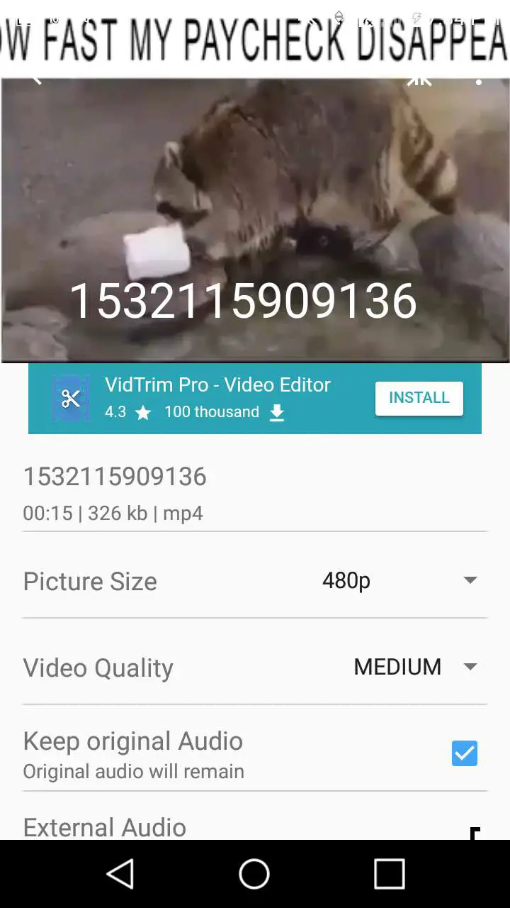 vidtrim video import
