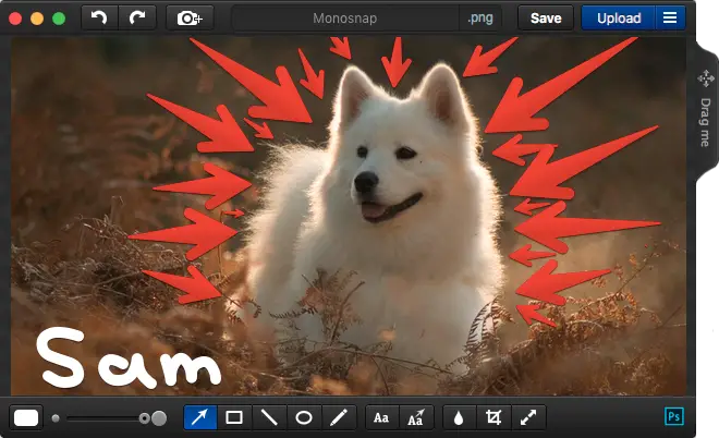 moonsnap screen recorder for mac