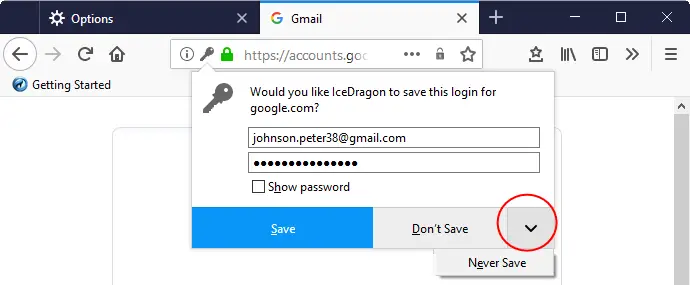 password saving in browser