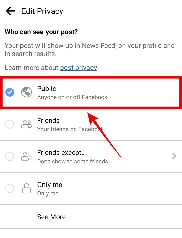 Facebook Post Privacy Settings