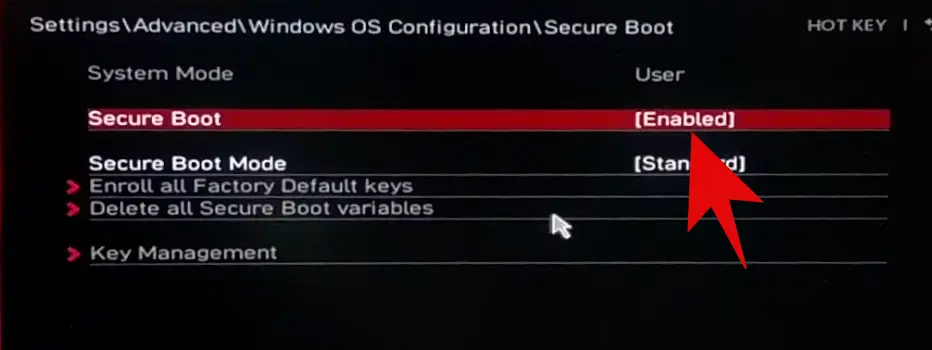 Enabling Secure Boot 