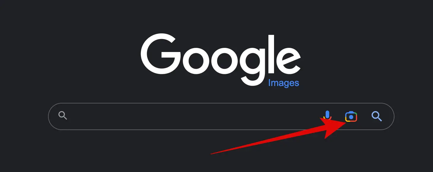 Reverse Image Search on Google