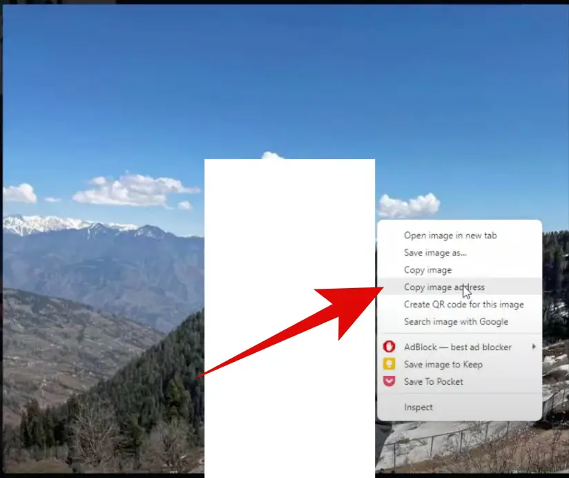 copy image url