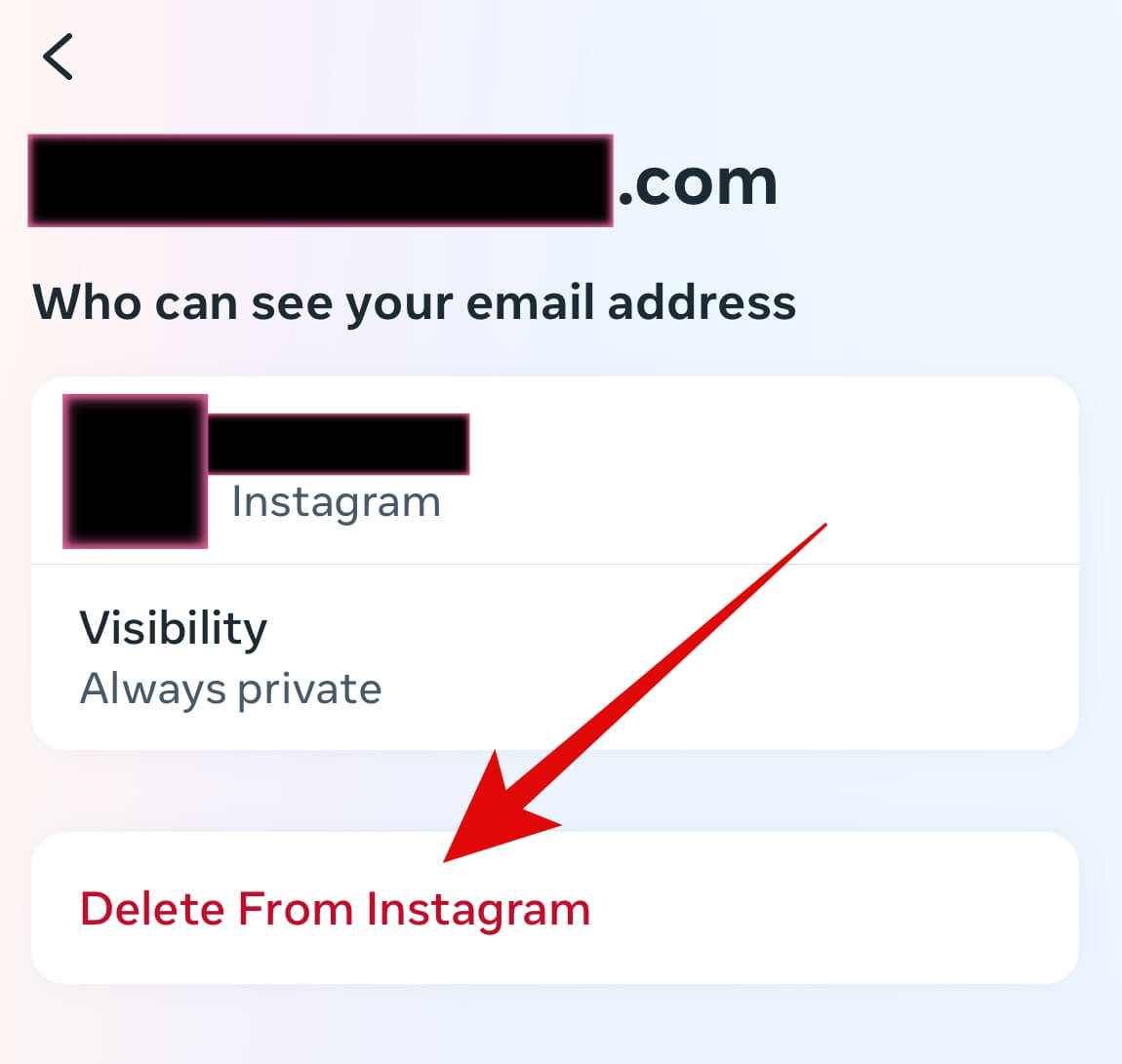 remove your email from ig
